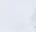 Nordic White